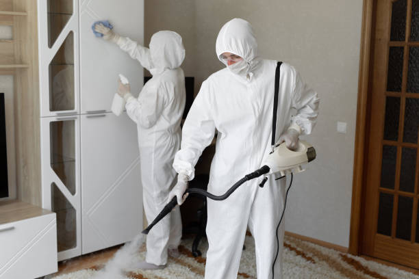 Trusted Sewage Cleanup service in Lisbon, ME - Four Month Blood Cleanse